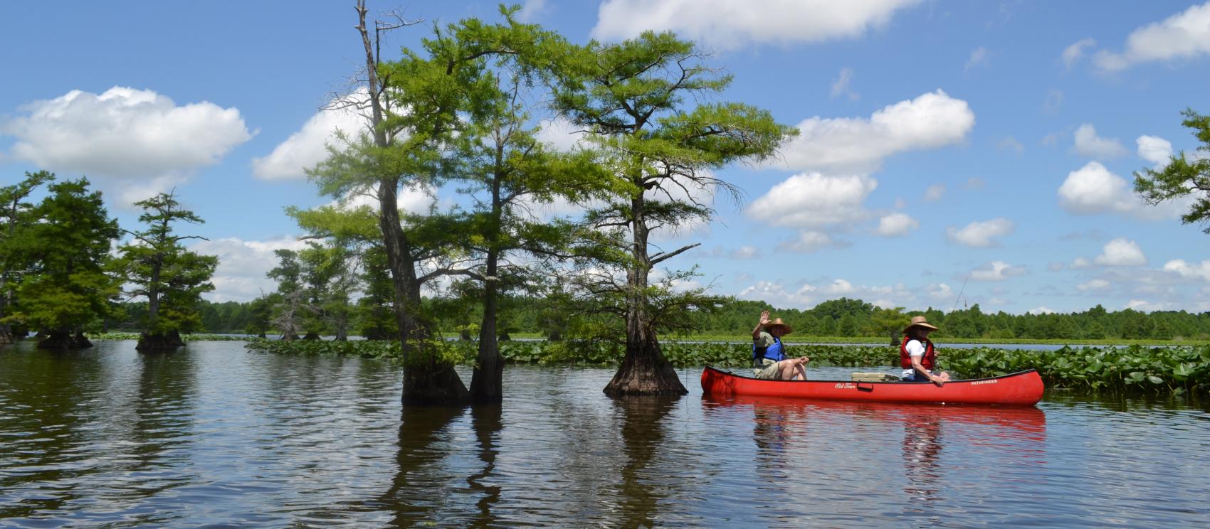 Canoeing in Reelfoot Lake State Park in Tiptonville