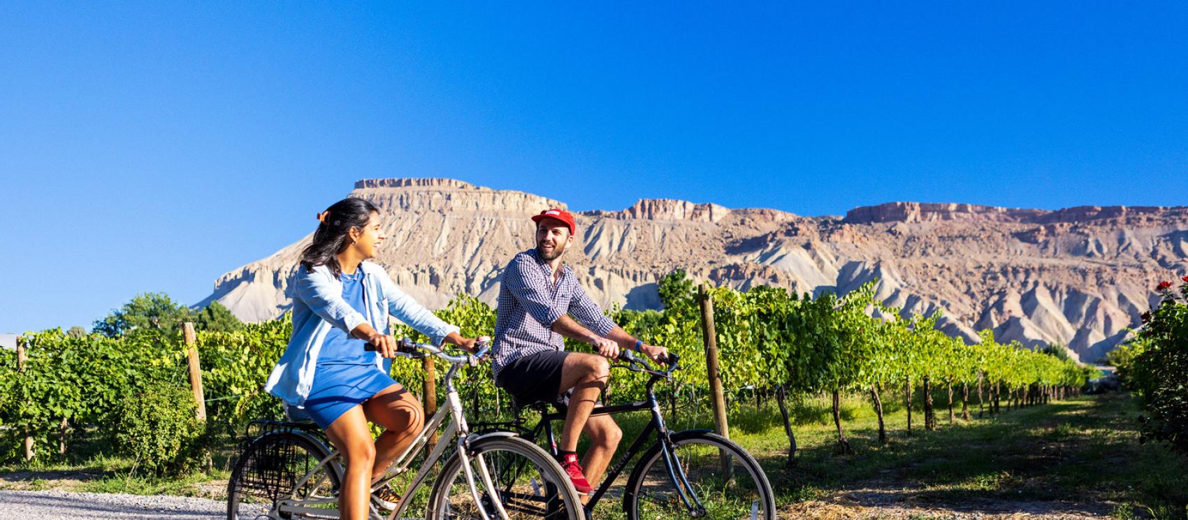 Biking through lush vineyards in Palisade