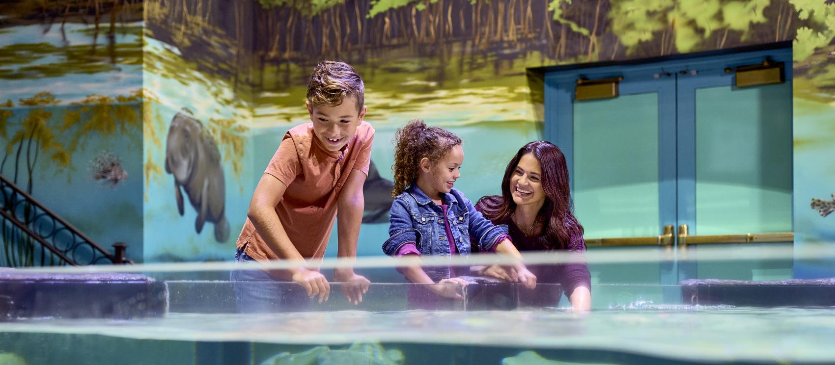 Getting hands-on with stingrays and other aquatic creatures at the National Mississippi River Museum & Aquarium