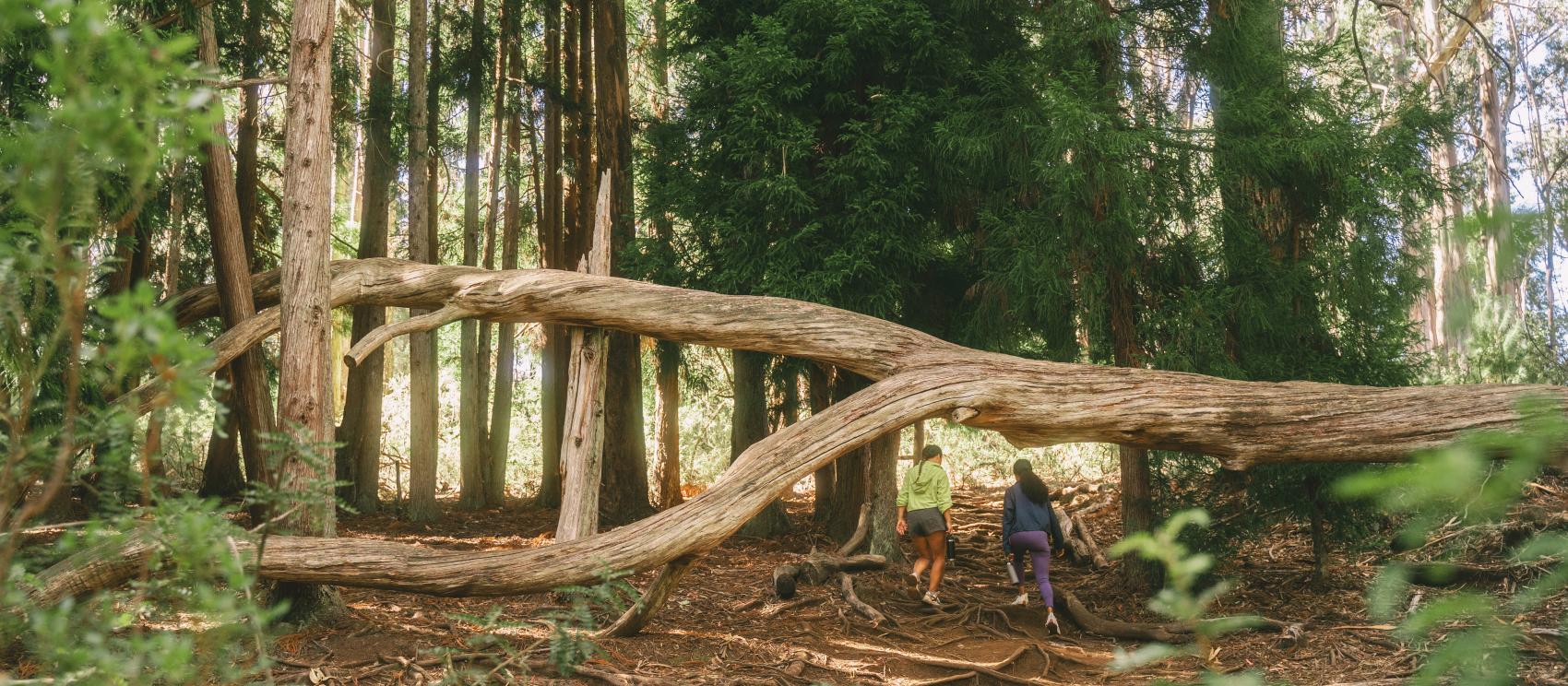 Hiking in Haleakalā National Park on Maui