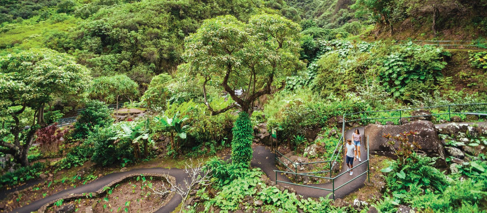Hiking the verdant trails of ʻĪao Valley State Monument on Maui